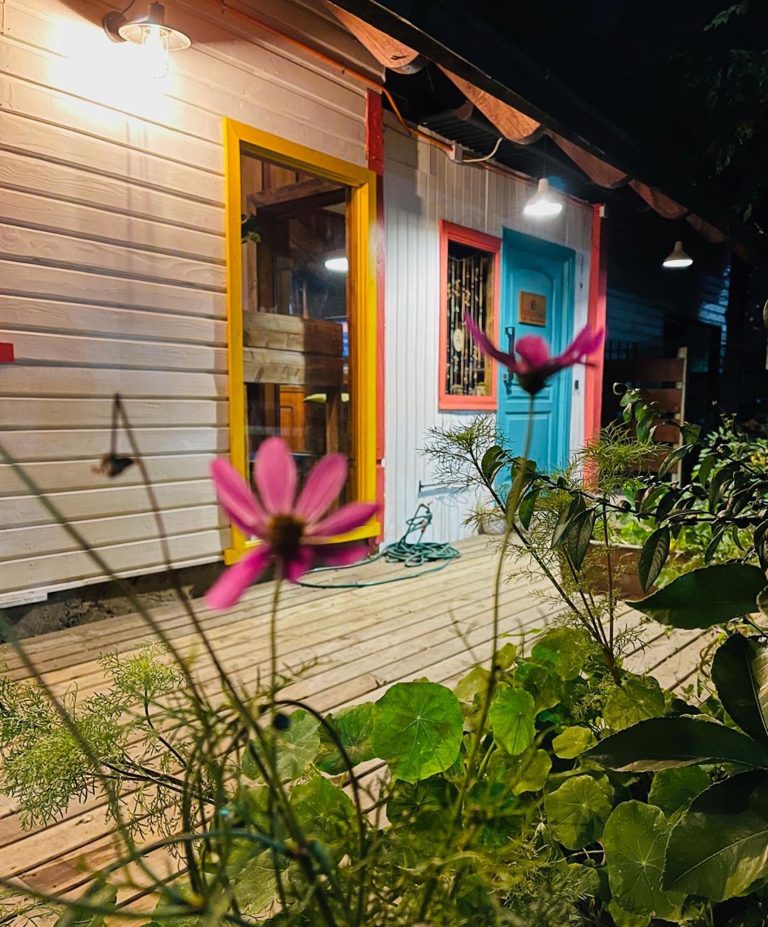 La Araucaria Hosteria Boutique - Ex Lounge Brasil Pucon Ngoại thất bức ảnh