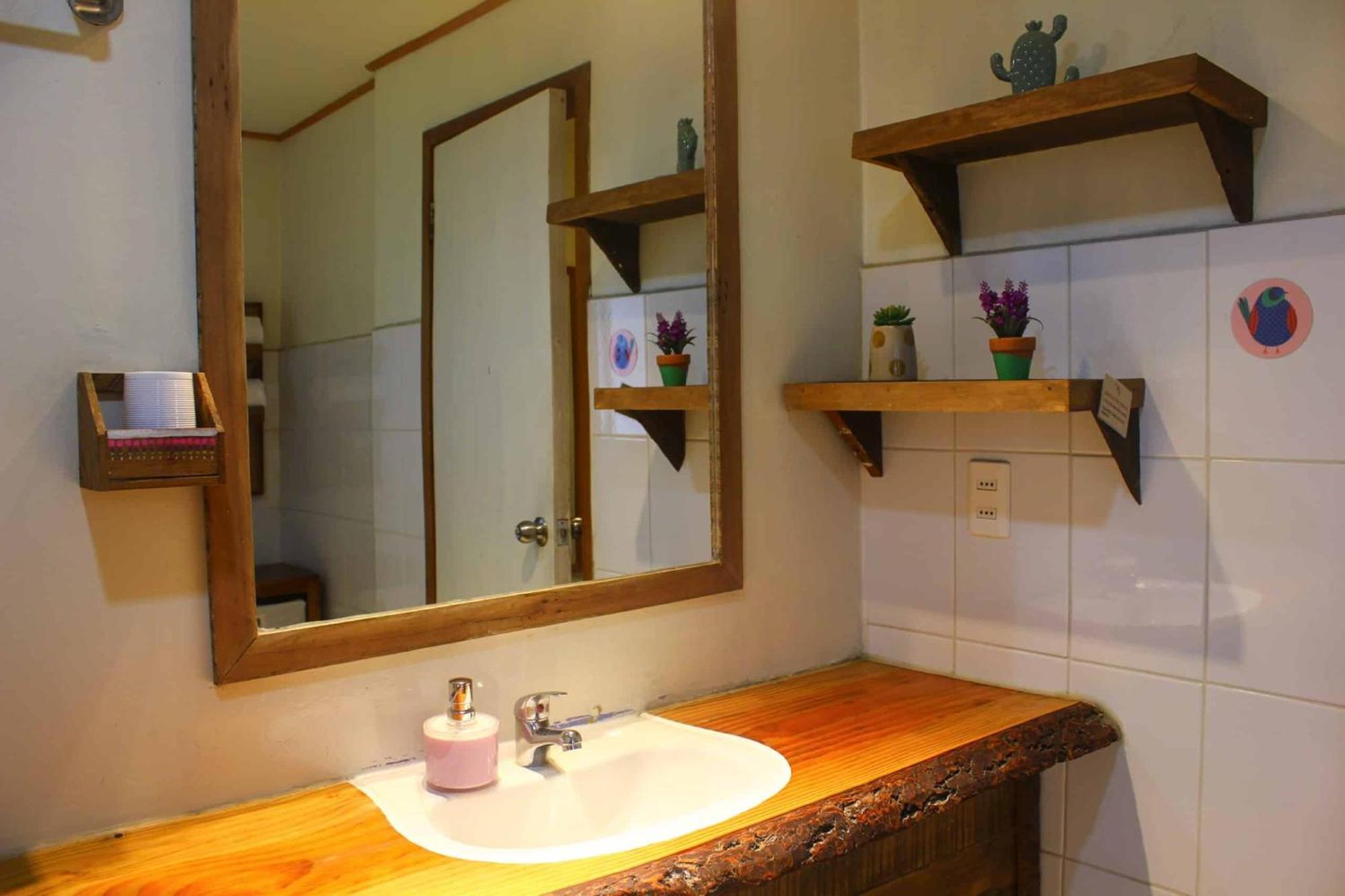 La Araucaria Hosteria Boutique - Ex Lounge Brasil Pucon Ngoại thất bức ảnh